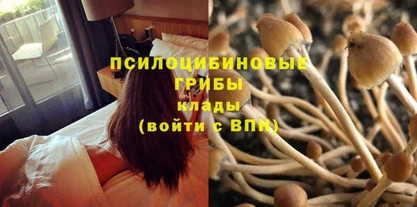 ECSTASY Алексин