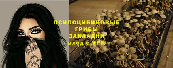 СК Алзамай