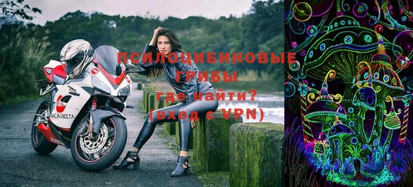 стафф Гусь-Хрустальный