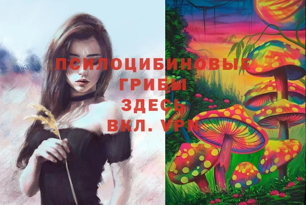 дурь Алексеевка